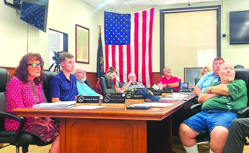 Borough council approves advertising ticketing ordinance